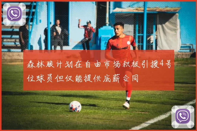 森林狼计划在自由市场积极引援4号位球员但仅能提供底薪合同